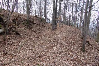 Severní část příkopu s přitesanou skálou ( © Roman Řezáč 03/2005)