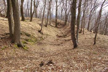Příkop na západní straně ( © Roman Řezáč 03/2005)