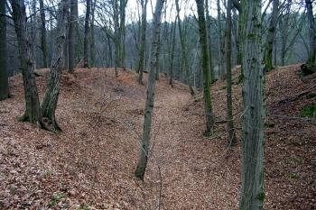  (© D Dohňanský, 12/2013)