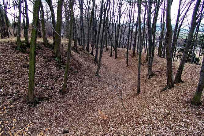 Dlouhá Loučka