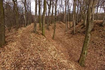 Severní část příkopu pod jádrem (© Roman Řezáč 03/2005)