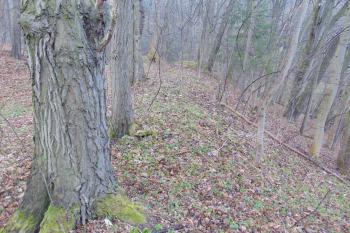 Znatelný pozůstatek jižního valu (© Dušan Dohňanský  04/2023)