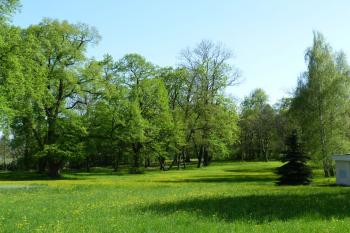 Dlažkovice zámecký park (© František Kinař, 04/2012)