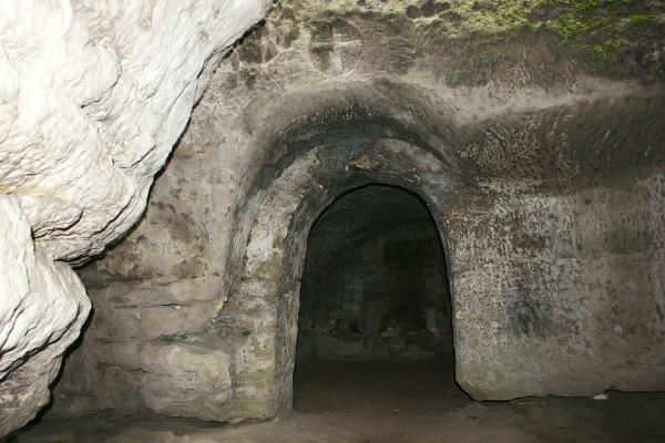 Nedamy