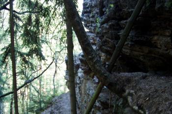 Severní stěna skalního bloku s hradem (© Lukáš Pechánek, 04/2012)
