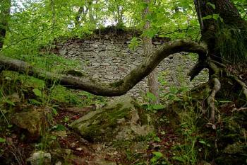 (© Jaroslav Řezáč 2004)