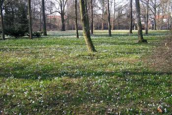 Zámecký park ( © Luděk Pitter 04/2005)