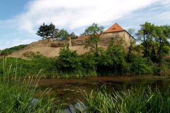 Jižní část tvrze od rybníčka. Bývalého vodního příkopu. ( © Radovan Smokoň 05/2007)