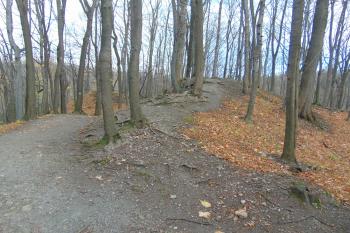 Druhý /vnitřní/ val napojený na pahorek před předním hradním dílem na severu (© Dušan Dohňanský  11/2021)