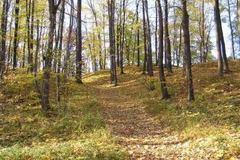 pohled na místo, kde přístupová cesta překonávala druhý val ( © Jan P. Štěpánek 10/2005)