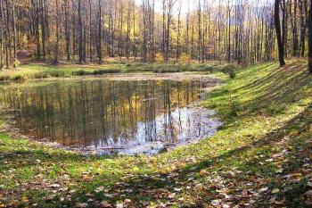 nově obnovený středověký rybník před hradem ( © Jan P. Štěpánek 10/2005)