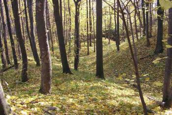 druhý příkop a val ( © Jan P. Štěpánek 10/2005)