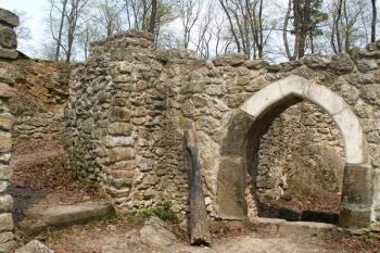 Nejzachovalejšími částmi hradu jsou sklepy paláce. Do nich se vcházelo ze schodiště portálem, který se nezachoval. ( © Miroslav BITTER 04/2007)