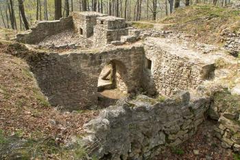 Hradní palác býval jedinou obytnou stavbou (dodnes se zachovalo pouze sklepení) ( © Miroslav BITTER 04/2007)
