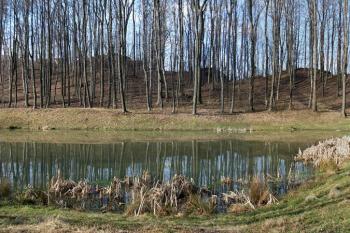 Pohled na hrad Šostýn od východu z břehu obnoveného středověkého rybníka. ( © Miroslav BITTER 04/2007)