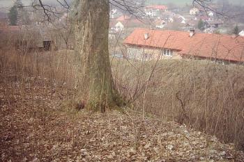 Kostelec u Heřmanova Městce ( © Michal Merkl 04/2005)