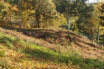 Pohled na předhradí na jihu (© Rostislav Vondra, 10/2007)