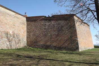  (© Michal Brůža, 04/2012)