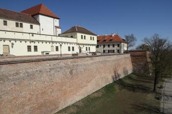  (© Michal Brůža, 04/2012)