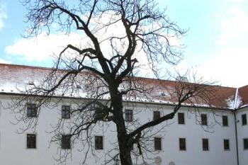  ( © Jan P. Štěpánek 11/2004)