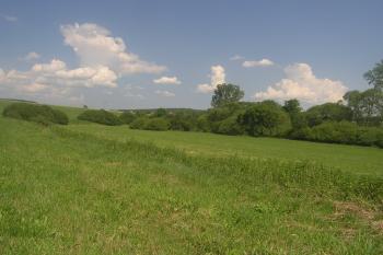  ( ©Martin Kabeláč 06/2007)