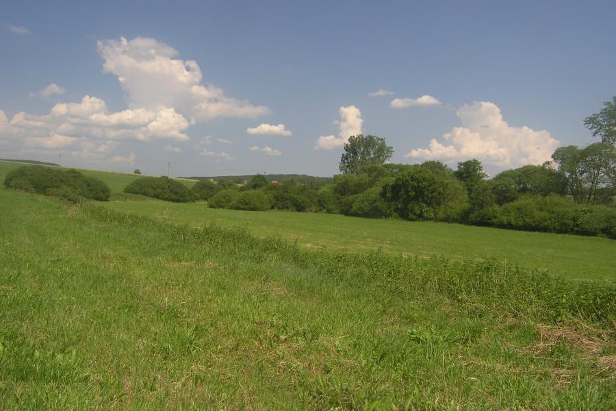 Pokonice
