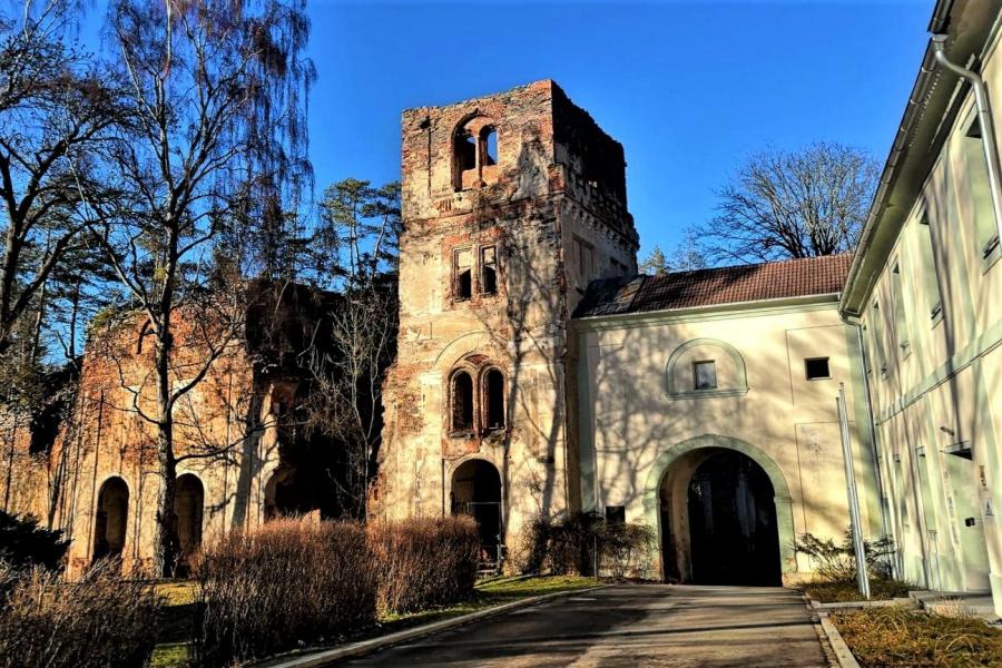 Světce
