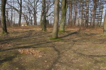 povrch tvrziště (© D Dohňanský, 03/2018)