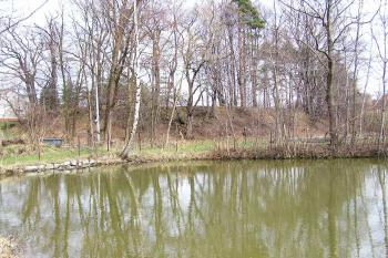 Pohled na tvrziště přes plochu rybníčku ( © Jan P. Štěpánek 04/2005)