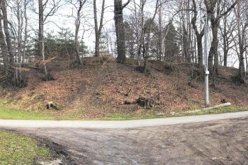 Panorama tvrziště od západu ( © Jan P. Štěpánek 04/2005)