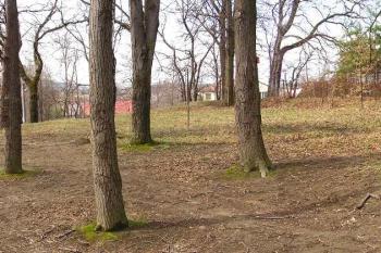Panorama plochy jádra od východu ( © Jan P. Štěpánek 04/2005)