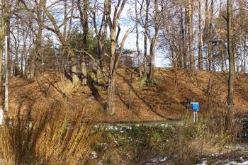 panorama tvrziště v bašce od jihozápadu ( © Jan P. Štěpánek 12/2007)