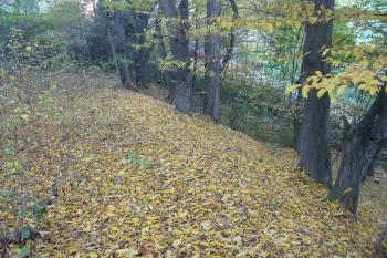 vých.svah od jihu (© D Dohňanský, 10/2015)