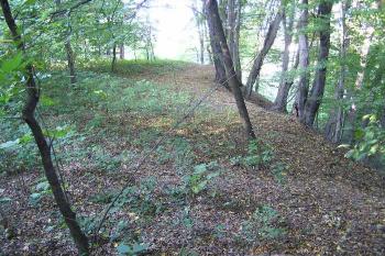 Pohled na východní hranu severní části lokality DSO Hlíny ( © Jan P. Štěpánek 09/2006)