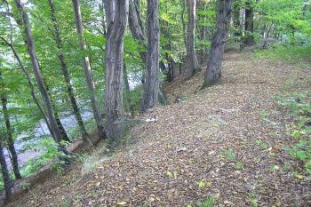 Východní hrana lokality v severní části ( © Jan P. Štěpánek 09/2006)