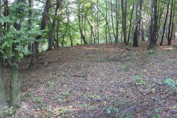 Panorama jižní části lokality DSO Hlíny ( © Jan P. Štěpánek 09/2006)