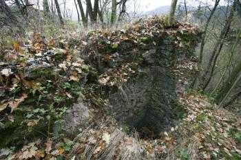 Zbytek čelní půlválcové věže je dnes nejvýraznějším pozůstatkem hrádku ( © Filip Matoušek 11/2007)