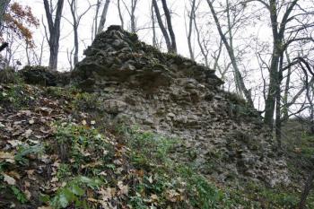 Zbytek jižní hradby, přiléhající k půlválcové věži ( © Filip Matoušek 11/2007)