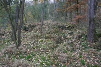 Zbytky nádvorní stěny věže ( © Filip Matoušek 11/2007)
