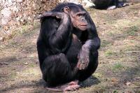 ZOO Ostrava