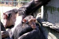 ZOO Ostrava