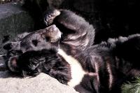 ZOO Ostrava