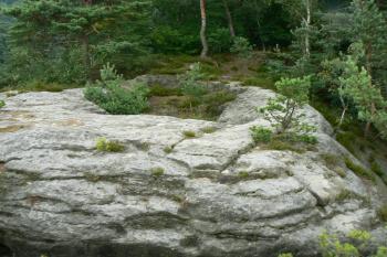  (© Prudký Martin, 07/2008)