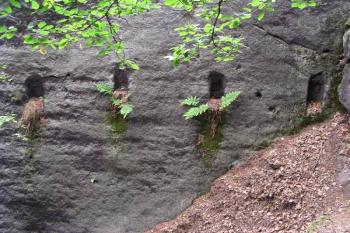 Řada kapes po trámové konstrukci na severovýchodě ( © Filip Matoušek 06/2003)