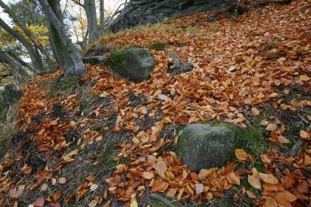 Malé zbytky zdiva na severní straně ( © Filip Matoušek 10/2007)