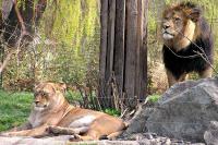 Zoologická a botanická zahrada