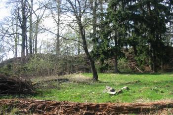 Plocha sev. předhradí, za ní je vlastní jádro hradu,vlevo stál palác, vpravo hradní věž (© D Dohňanský, 04/2016)