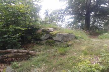 Část zdiva hradu (© Ivo Rozehnal 08/2020)