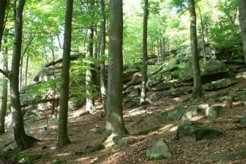 Štamberk (© Mythos 08/2007)