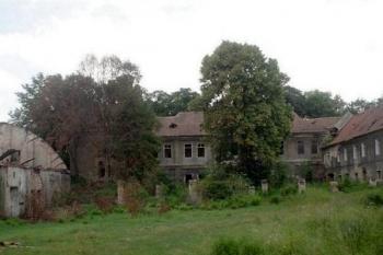 Po požáru (© Rejčka, 06/2006)